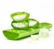 Aloe Vera: