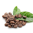 Coffee :