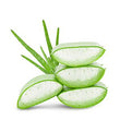 Aloe Vera :
