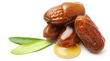 Date Palm :