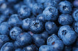 Blueberry Extract: