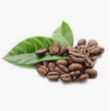 Coffee: