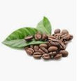 Coffee :