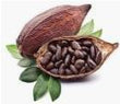 Cocoa :