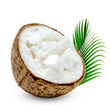 Coconut Oil :