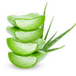 Aloe Vera: