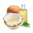 Coconut Oil: