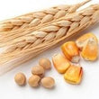 Hydrolyzed Keratin :