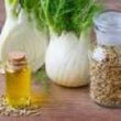 Fennel Oil :