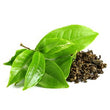 Green Tea :