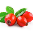 Rosehip :