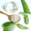Aloe Vera :