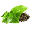 Green Tea :