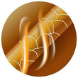Keratin: