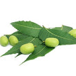 Neem :