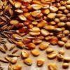 Plant Keratin: