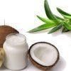 Coconut :