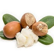 Shea Butter :