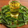 Curry Leaves Oil :