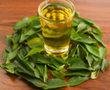 Curry Leaves Oil :