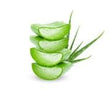 Aloe Vera: