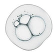Salicylic Acid: