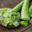 Aloe Vera: