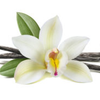 Base Notes - Vanilla & Cocoa : The scent is anchored by a warm and creamy blend of Vanilla & Cocoa notes.