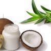 Coconut :