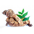 Mulberry Root: