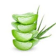 Aloe Vera :