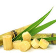 Glycolic Acid :