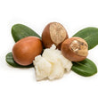 Shea Butter: