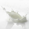 Milk Protein: