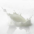 Milk Protein:
