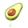 Avocado oil: