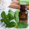 Peppermint Oil :