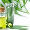 Eucalyptus Oil :