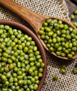 Mung Bean: