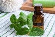 Peppermint Oil :