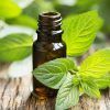 Peppermint Oil :