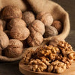 Walnut :
