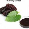 Mulberry Extract :