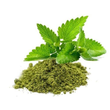 Tulsi :
