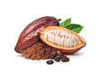 Cocoa: