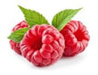 Raspberry: