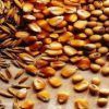 Plant Keratin :