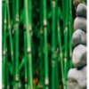 Organic Bamboo Vinegar :