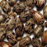 Castor Oil :