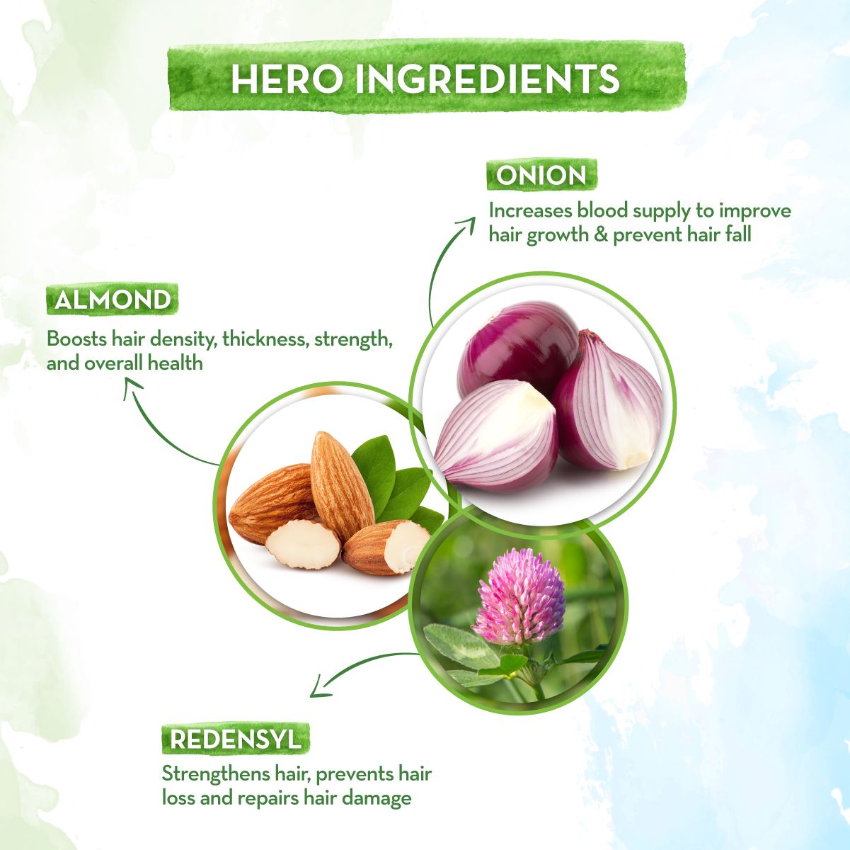 Onion Hair Oil with Onion Oil & Redensyl for Hair Fall Control - 250 ml
